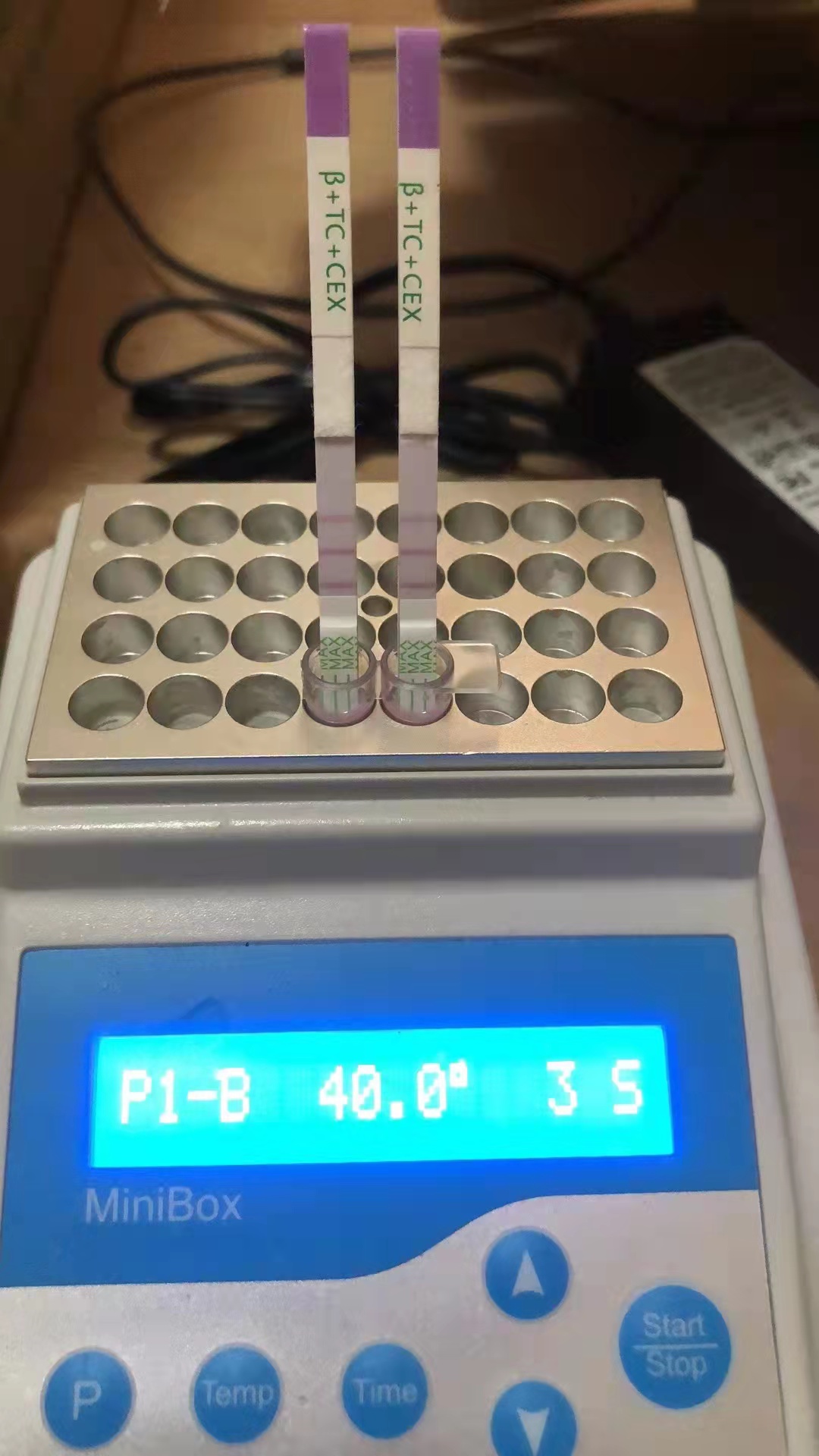 β-內酰胺酶檢測試紙條