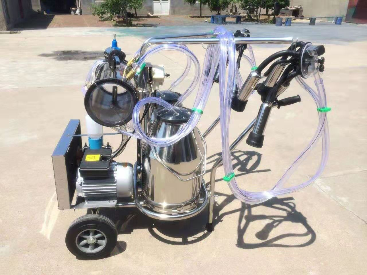 Milking Machine-內容.jpg